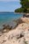 Rocky coast