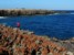wybrzeże w Caleta de Fueste