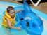 mój przyjaciel delfin