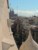 widok na ulicę Provenca, w głębi Sagrada Familia