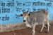 Slumsy Dharavi
