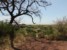 widok na Jezioro Manyara