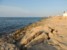 Plaża Bugibby nie zachęca do wypoczynku