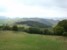 Lasy cedrowe w Ifrane