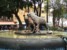 kojoty z Coyocan przy Plaza Hidalgo