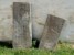 stele