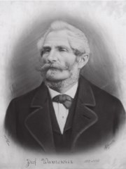 Józef Warszewicz