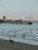 paracas ballestas fotki - molo w Paracas
