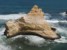 paracas ballestas zdjęcia - kolonia ptasia na La Catedral